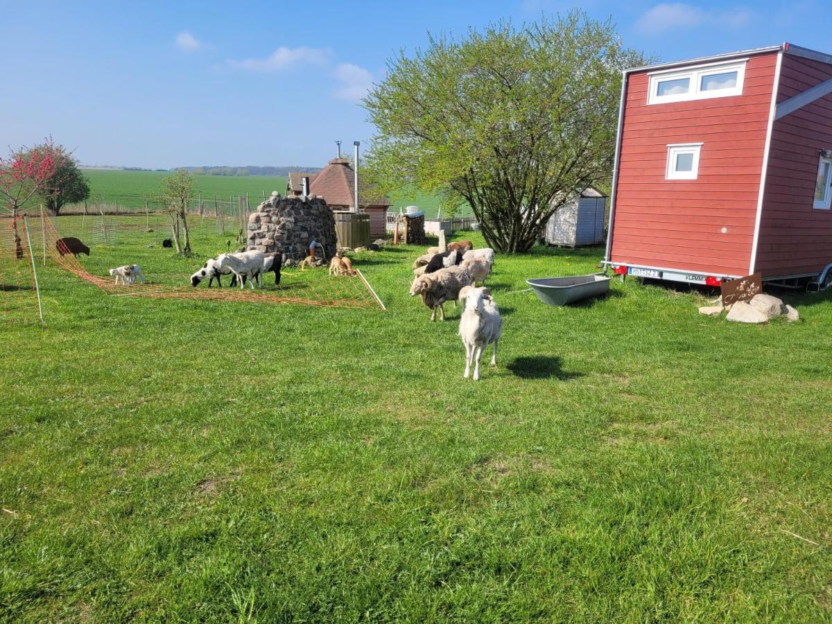 Tiny House Villa Schonbeck  Buitenkant foto