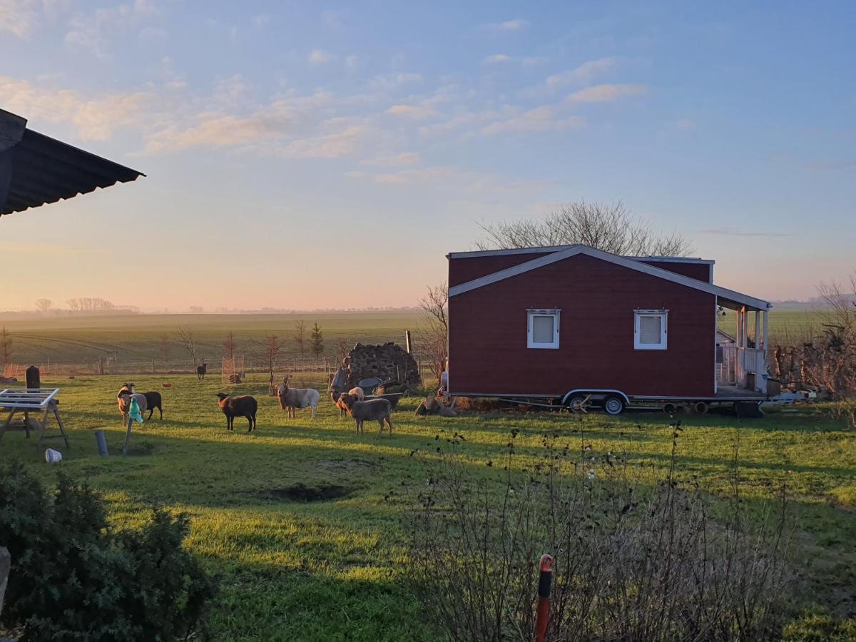 Tiny House Villa Schonbeck  Buitenkant foto